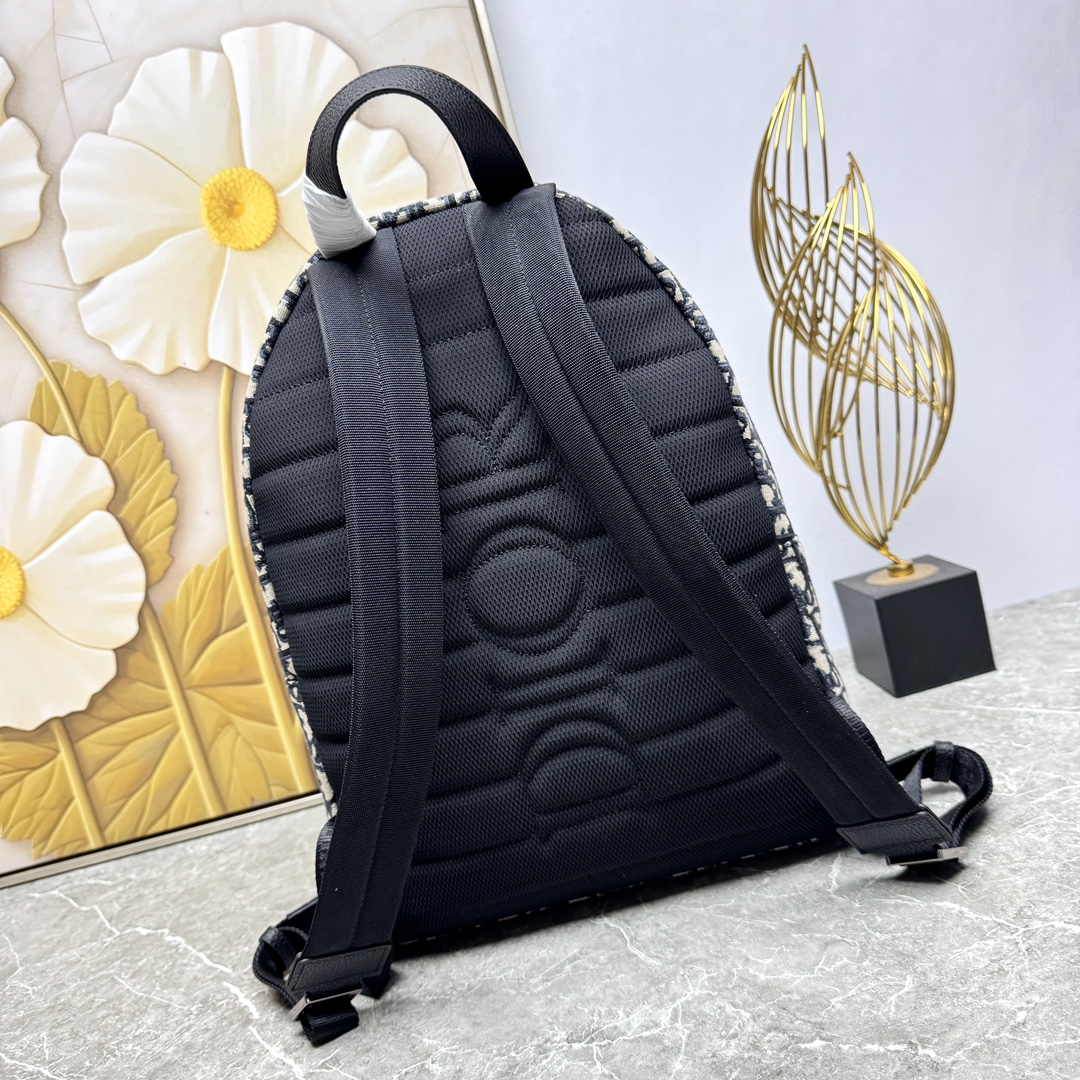 Dior CD 디올 백팩 가방