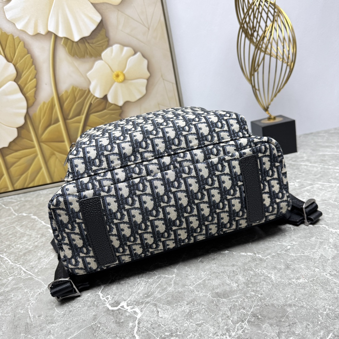 Dior CD 디올 백팩 가방