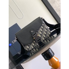 Dior CD 디올 숄더백 크로스백 가방