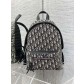 Dior CD 디올 백팩 가방