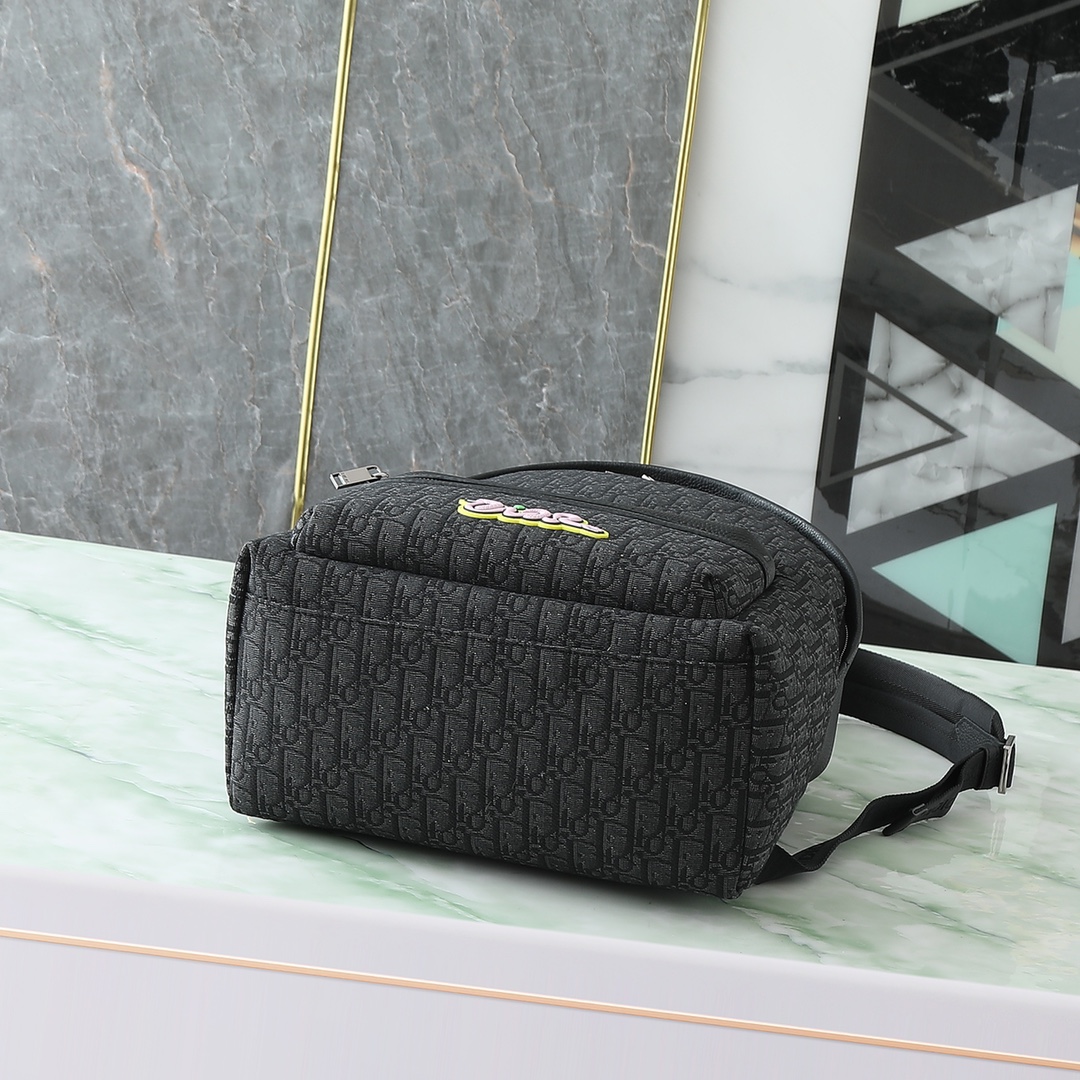 Dior CD 디올 백팩 가방