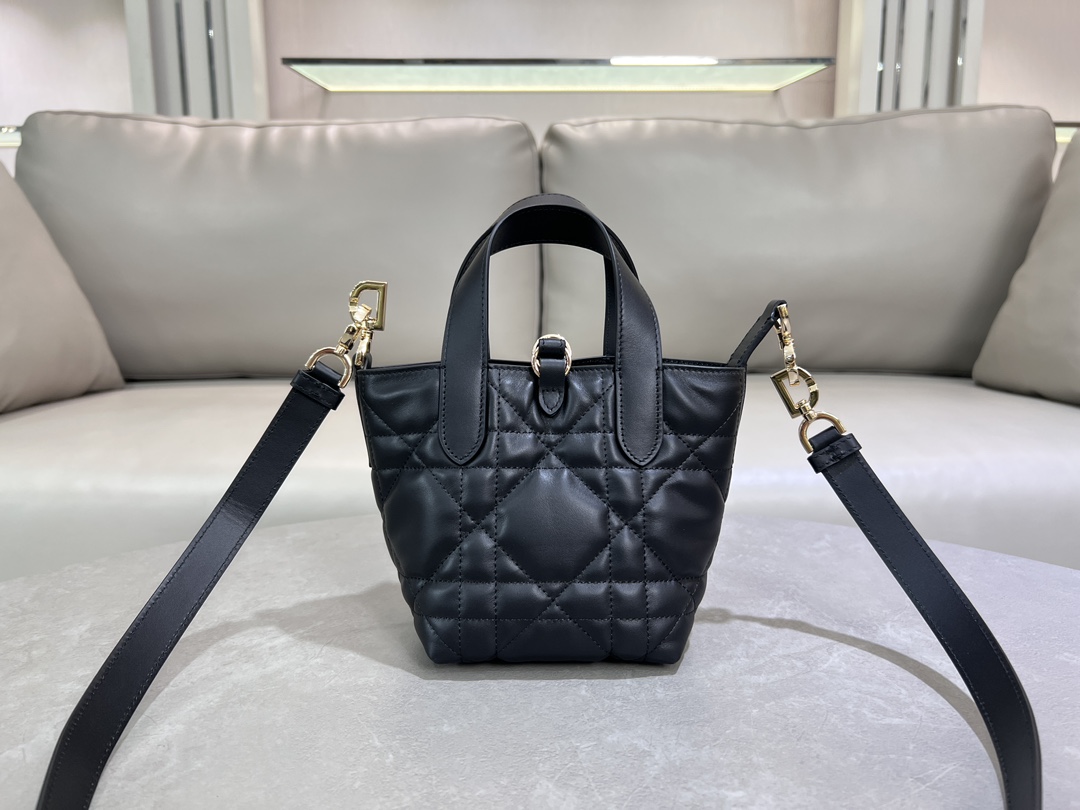 Dior CD 디올 뚜주흐백 미니 가방