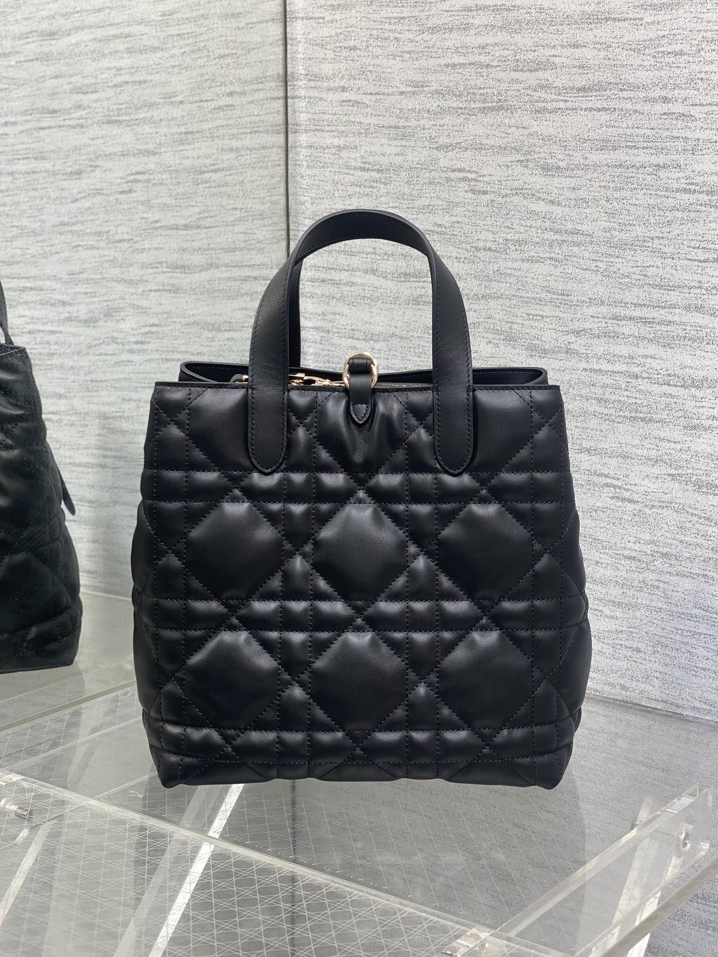 Dior CD 디올 뚜주흐백 미디엄 가방