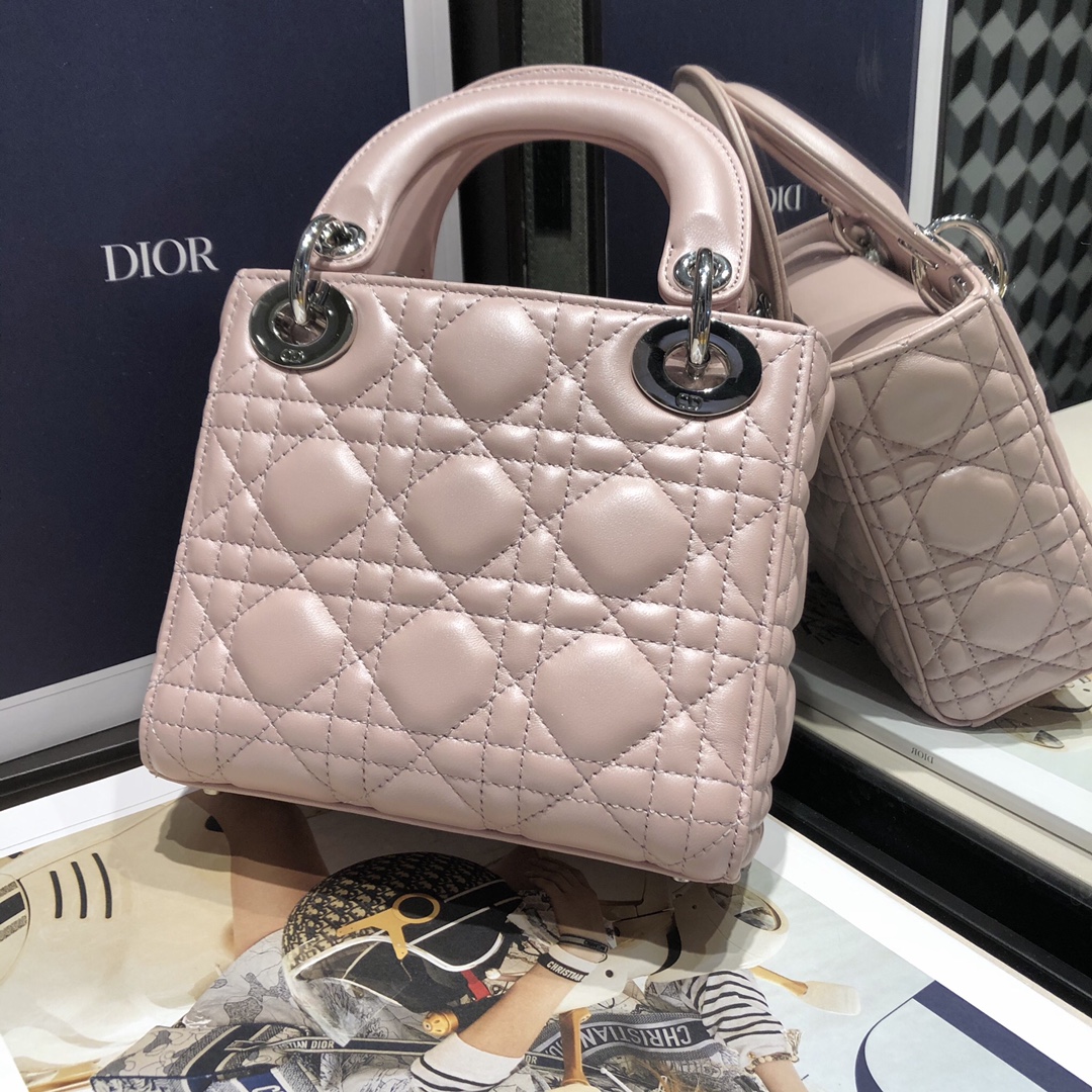 Dior CD Lady 디올 레이디 토트백 가방
