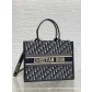 Dior CD Book Tote 디올 북토트 미디움 토트백 가방