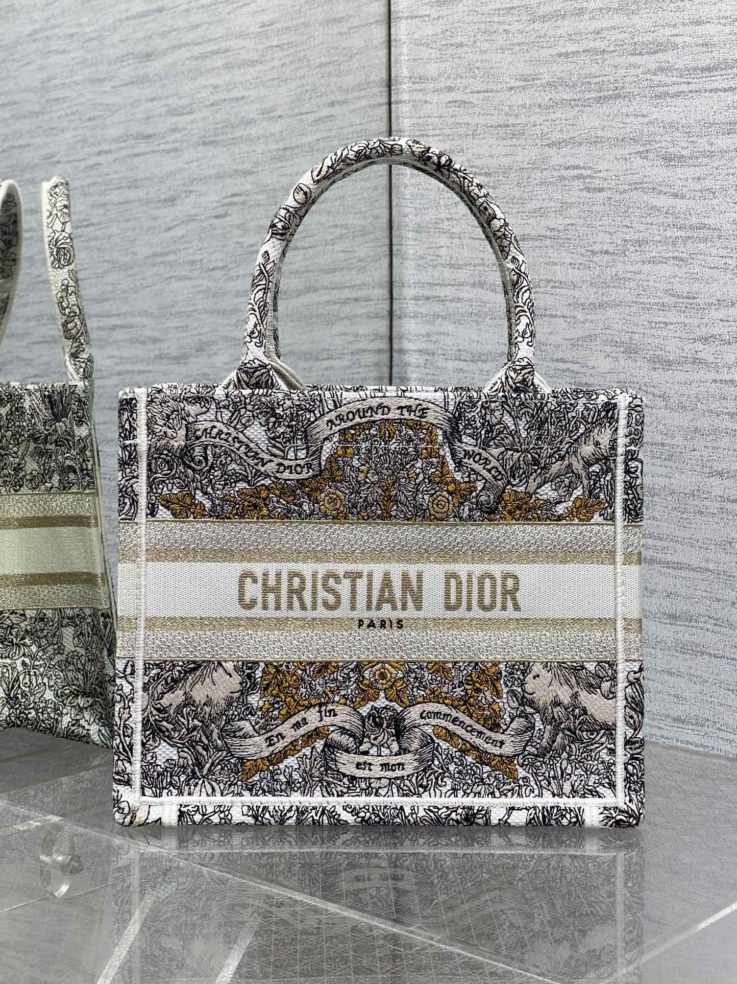 Dior CD Book Tote 디올 북토트 토트백 스몰 가방