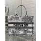 Dior CD Book Tote 디올 북토트 토트백 미디움 가방