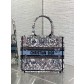 Dior CD booktote 북토트 스몰 토트백 가방