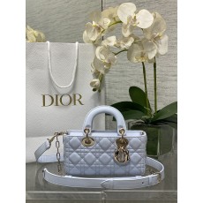 Dior CD 디올 디조이 토트백 숄더백 가방 스몰