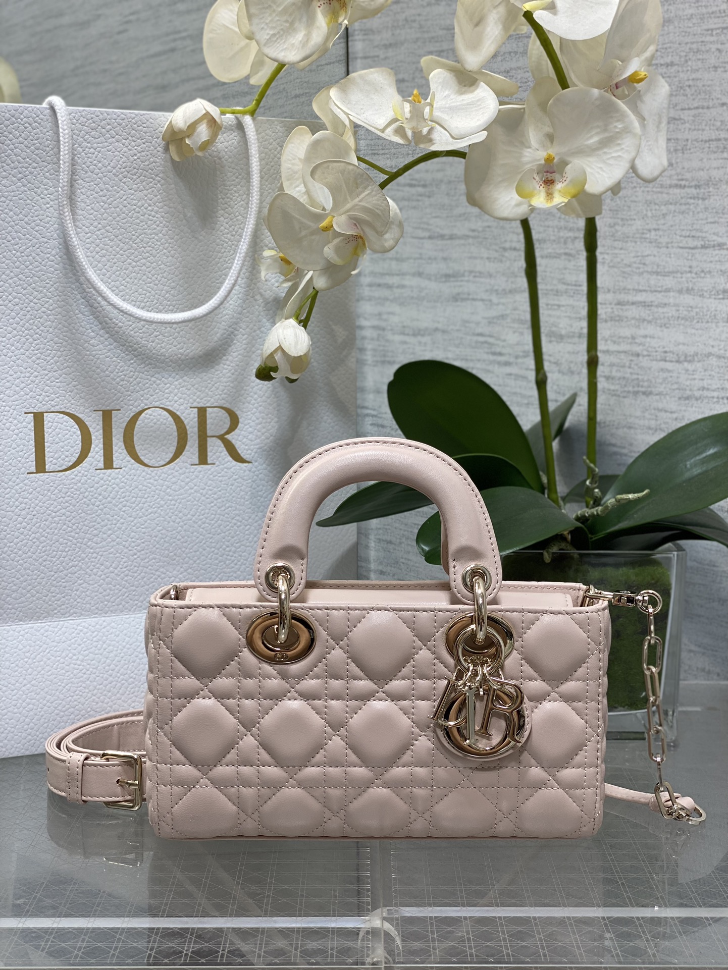 Dior CD 디올 디조이 토트백 숄더백 가방 스몰