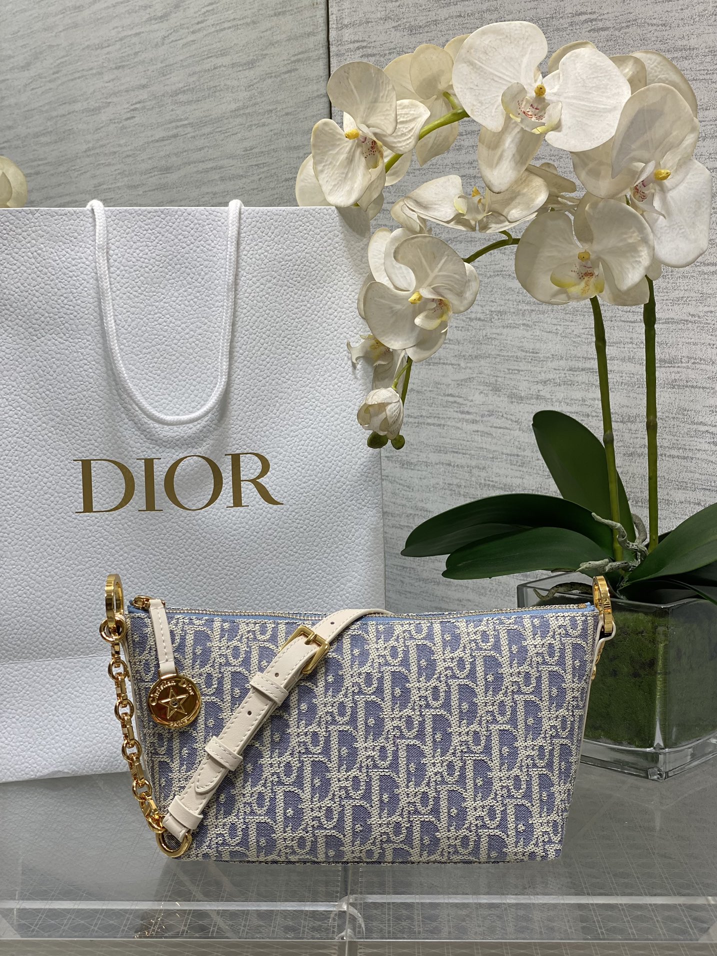 Dior CD Hobo Star 디올 숄더백 가방
