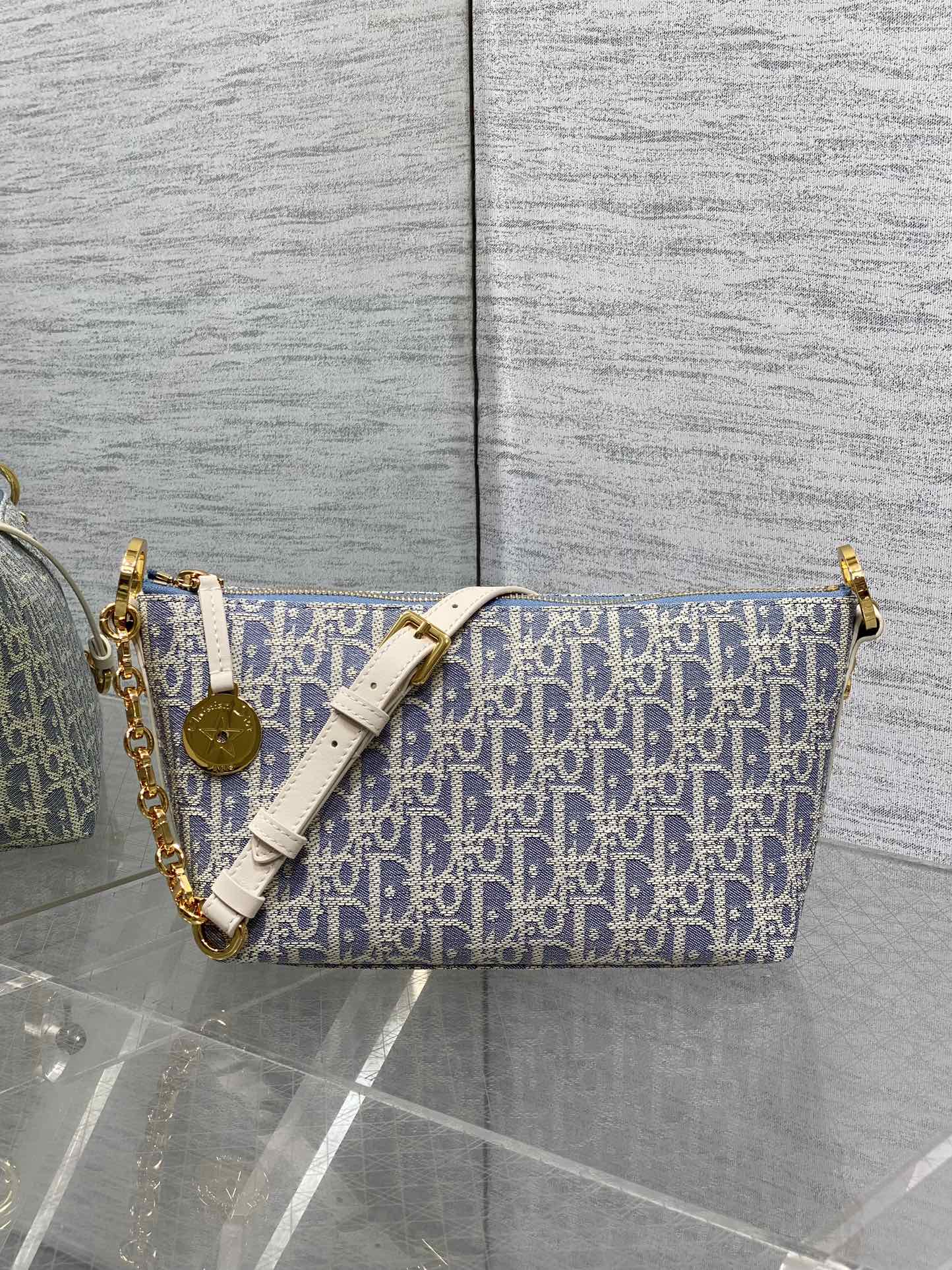 Dior CD Hobo Star 디올 숄더백 가방