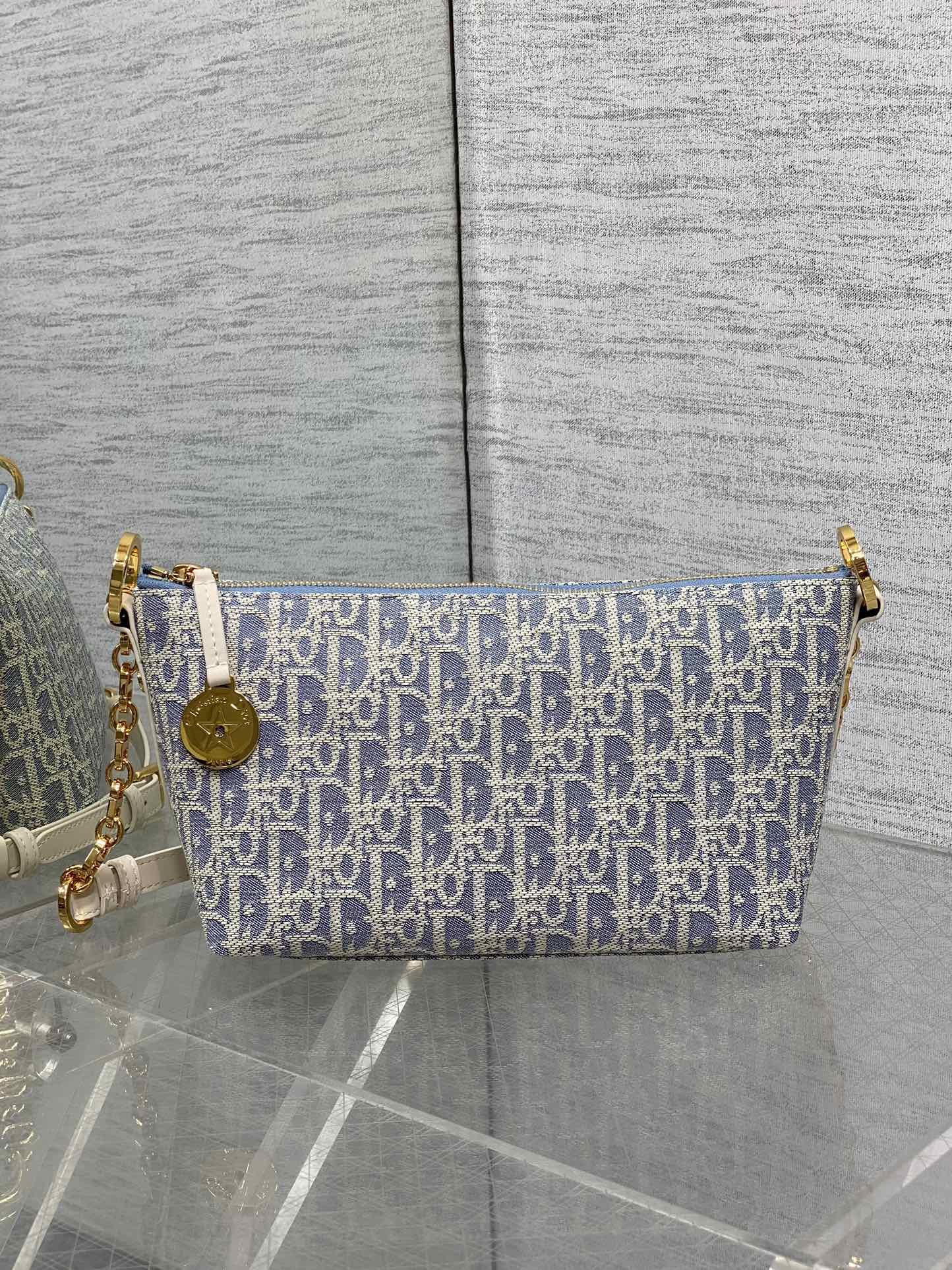 Dior CD Hobo Star 디올 숄더백 가방