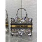 Dior CD 디올 스몰 토트백 가방