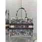 Dior CD 디올 미디움 토트백 가방
