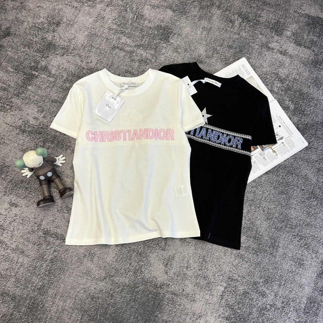 Dior 디올 자수 로고 반팔 티셔츠 의류