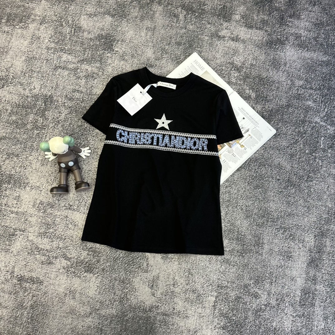 Dior 디올 자수 로고 반팔 티셔츠 의류