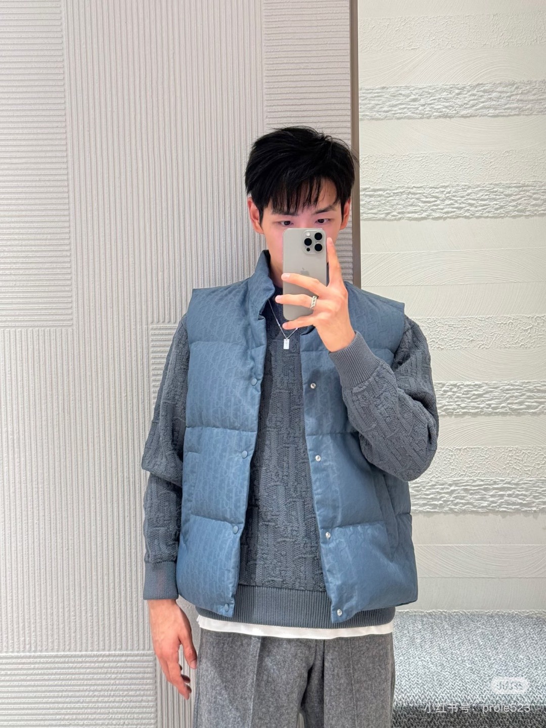 디올(DIOR)오블리크 올오버 패턴 다운 베스트 의류