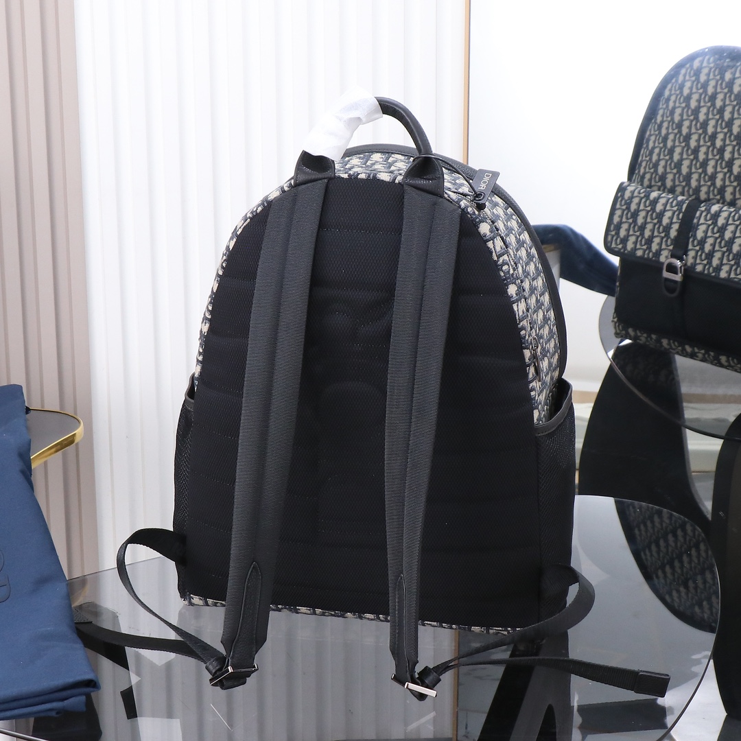 Dior CD 디올 8 (Dior 8) 오블리크 백팩 - 베이지 & 블랙 가방