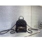 디올 Backpack Bag