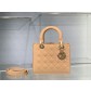 디올 Lady Bag