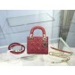 디올 Lady Bag