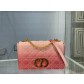 디올 Caro Bag
