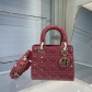 디올 Lady Bag