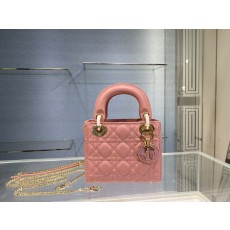 디올 레이디 미니