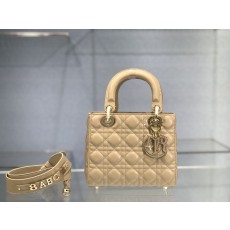 디올 레이디백 이니셜