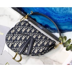 디올 오블리크 새들백