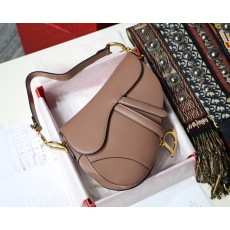 디올 새들백 레더 미듐