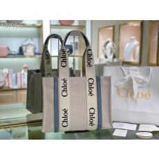 끌로에 우디백 미디움