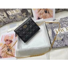 디올 카로 체인백