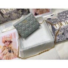 디올 카로 체인백