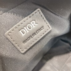 디올 SAFARI 숄더백