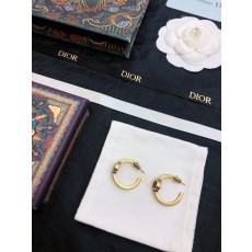 디올 귀걸이