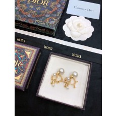 디올 귀걸이