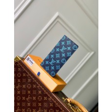 루이비통 브라짜 월릿 M66540