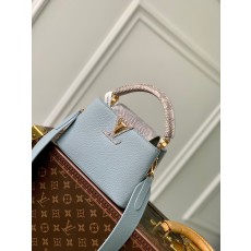 루이비통 카퓌신 미니 M22876