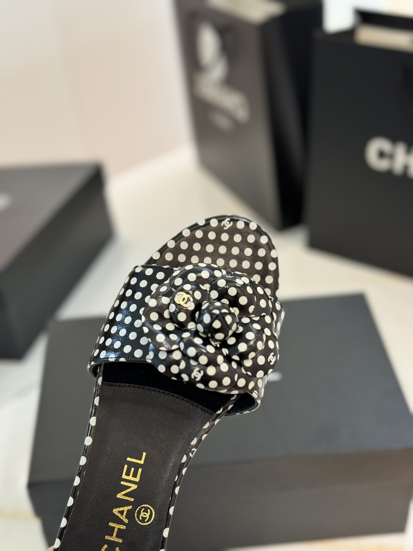 46ce2d2fedec2baec36e18f6ecfef9fb_1713171635_6092.jpg 46ce2d2fedec2baec36e18f6ecfef9fb_1713171635_6092_1713171775.jpg