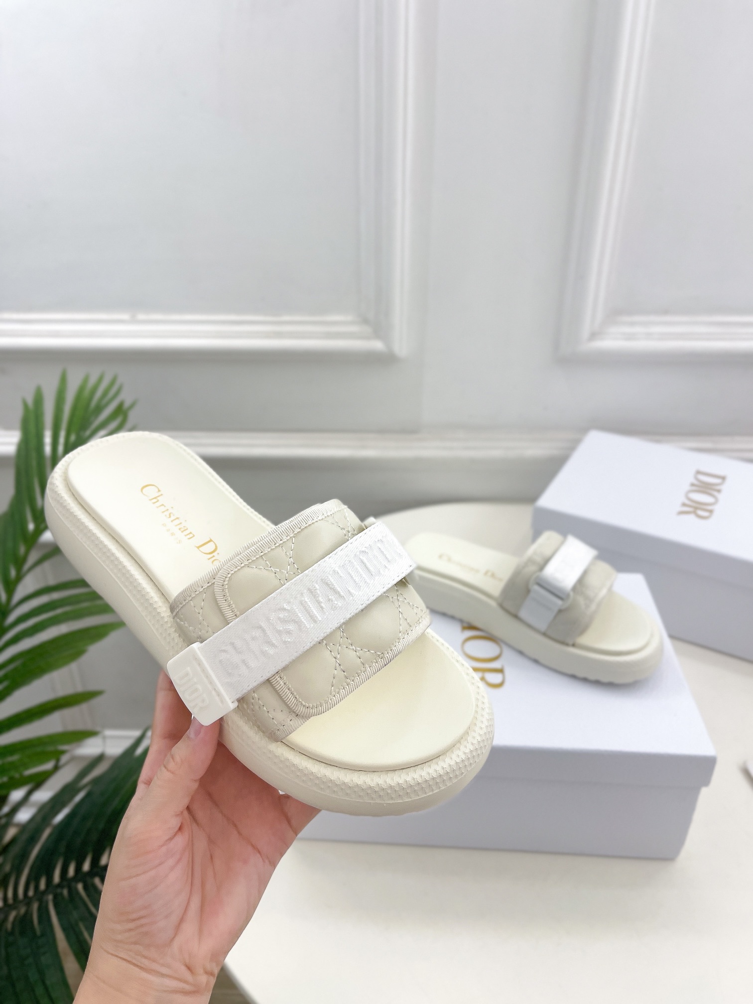 5d827cbfb01b5d0d0bb25e9e47b5ccac_1720170387_6224.jpg 5d827cbfb01b5d0d0bb25e9e47b5ccac_1720170387_6224_1720170430.jpg